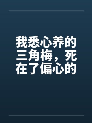 我悉心养的三角梅，死在了偏心的家